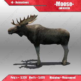 Moose Animated